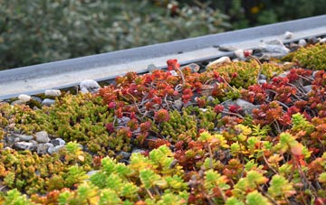 the cost of New Totley green roof installation