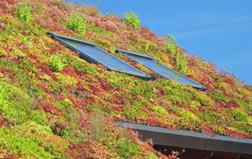 New Totley living roof systems