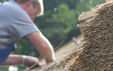 professional New Totley thatchers